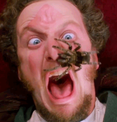 24 Things You Probably Didn't Know About "Home Alone"