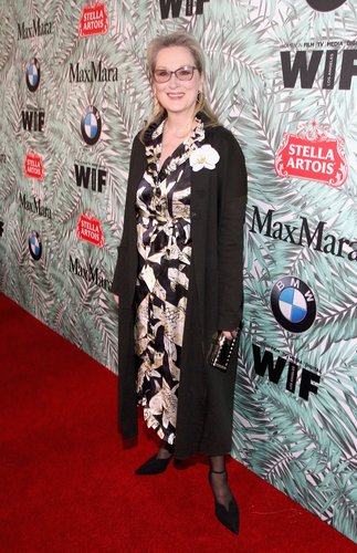 Meryl Streep attends the tenth annual Women in Film Pre-Oscar Cocktail Party presented by Max Mara and BMW at Nightingale Plaza on February 24, 2017 in Los Angeles, Calif