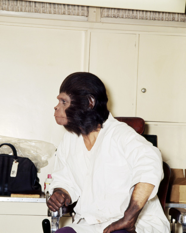 Actor Sal Mineo made up as an ape on the set of Escape From Planet of the Apes.