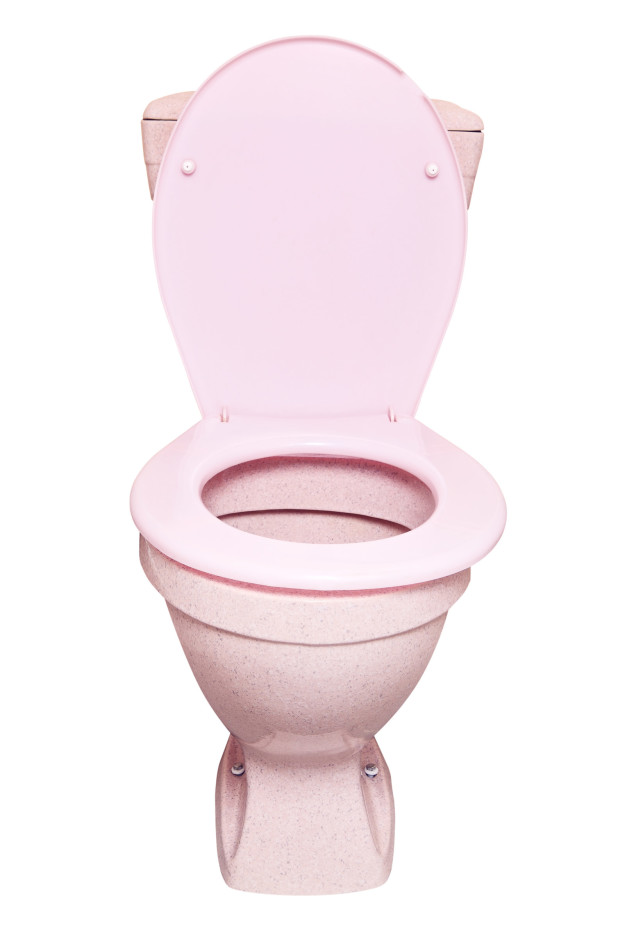 A pink toilet