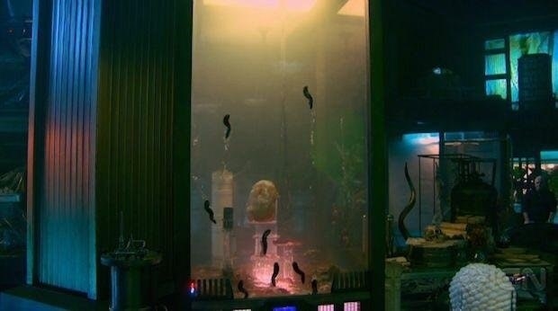 This tank filled with alien slugs located in the Collector's Museum in Guardians of the Galaxy looks suspiciously similar to the alien slugs from Director James Gunn's first film, Slither.