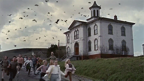 The school in The Birds is said to be a haunted house.