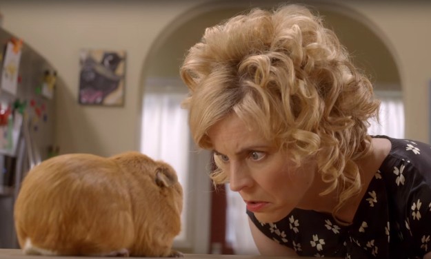 In case you're unfamiliar, Lady Dynamite is a ~hilarious~ show in which comedian Maria Bamford plays a fictionalized version of herself.