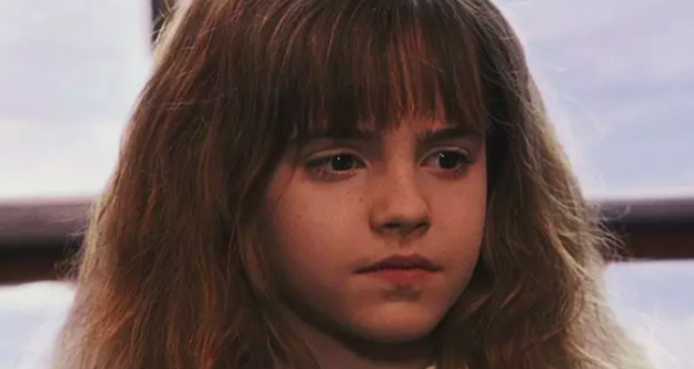 If Hermione Were The Main Character In "Harry Potter"