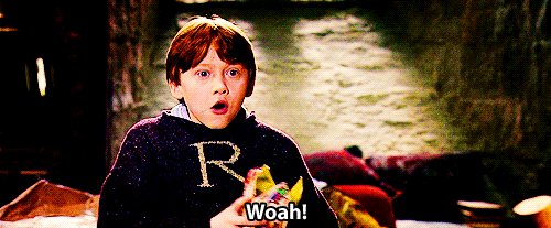 Well, guess what: THERE MIGHT BE A HARRY POTTER VERSION NEXT YEAR!