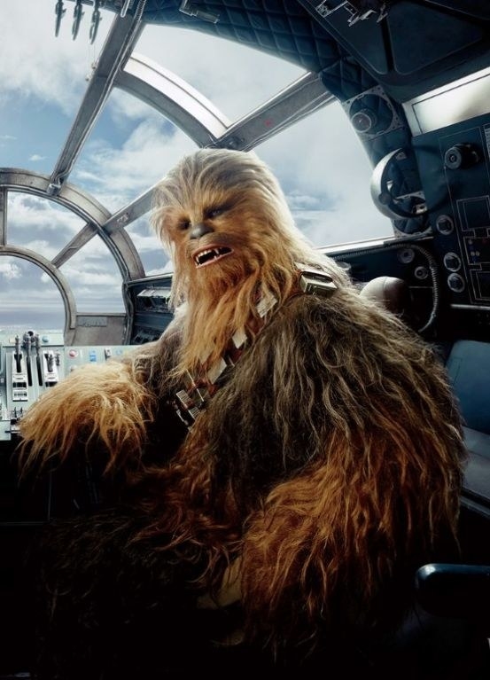 Chewbacca is a sexy beast.
