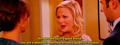 And, of course, all of the times Leslie complimented Ann.