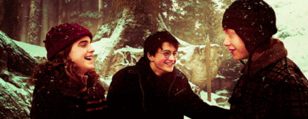 17 Reasons You Should Never Read "Harry Potter"