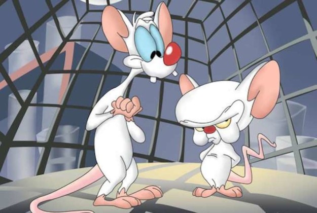 And Pinky and the Brain will be 23 years old.