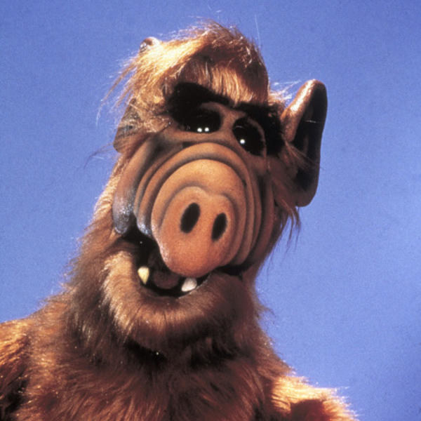 ALF will be 32 years old this year...