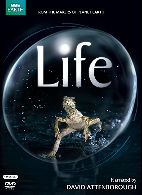 Life (2009)