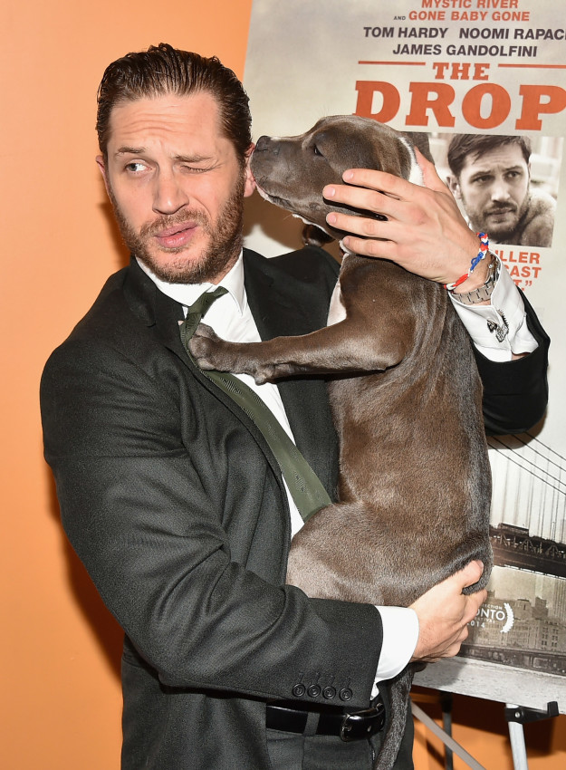 In case you're for some reason not (I'm sorry), he's a fantastic actor and a passionate dog person.