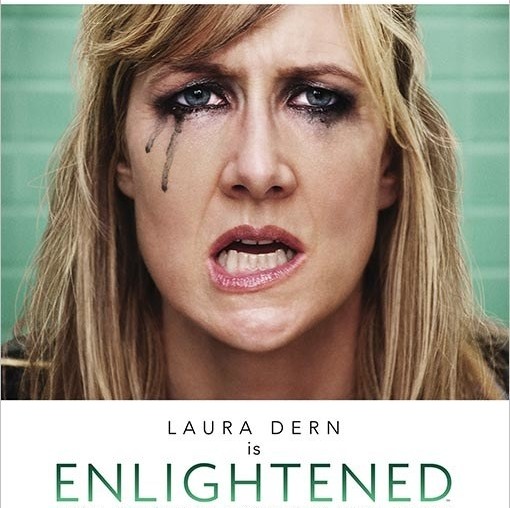 Enlightened (2011-2013)