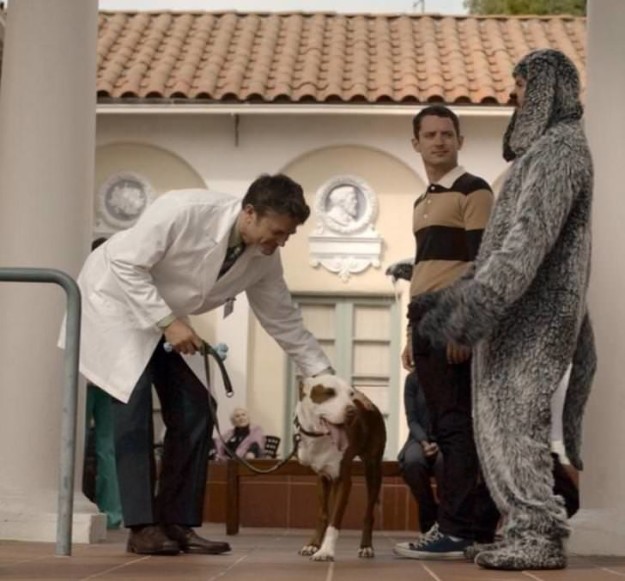 Champion also made a cameo on Wilfred.