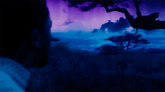 Also, in this scene, T'Challa comes across Bast, the Wakanda panther god.