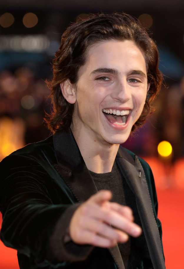 So, we're all familiar with precious cherub-fallen-to-Earth, Timothée Chalamet, correct?