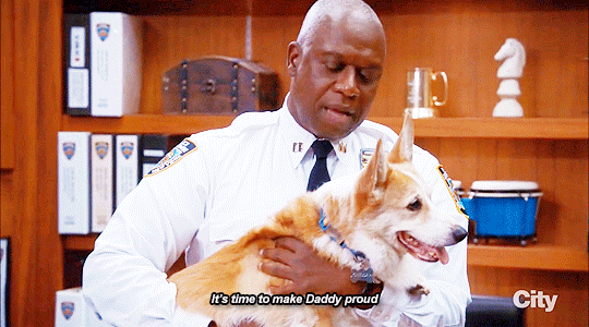 Captain Holt's ADORABLE corgi Cheddar needs to make Daddy proud for 10 more seasons.